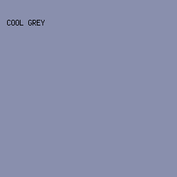 898FAD - Cool Grey color image preview