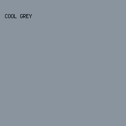 89949e - Cool Grey color image preview