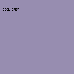 978DB0 - Cool Grey color image preview