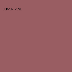 995d62 - Copper Rose color image preview