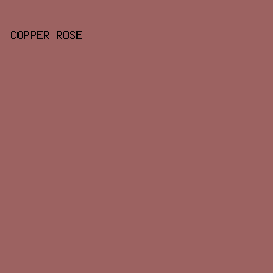 9C6261 - Copper Rose color image preview
