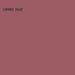 9D5C63 - Copper Rose color image preview