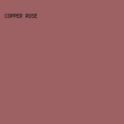 9d6164 - Copper Rose color image preview