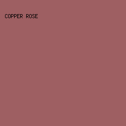 9e5f62 - Copper Rose color image preview