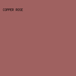 9f6160 - Copper Rose color image preview