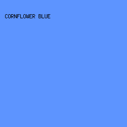 5d94ff - Cornflower Blue color image preview