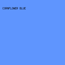 5f95fe - Cornflower Blue color image preview