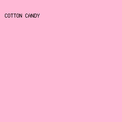 FFB9D6 - Cotton Candy color image preview