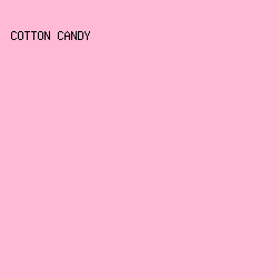 FFBBD4 - Cotton Candy color image preview