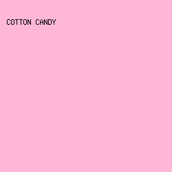 ffb7d7 - Cotton Candy color image preview