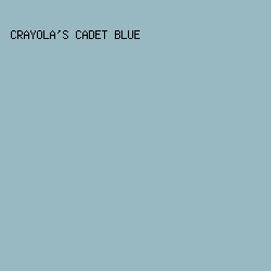 98B8C2 - Crayola's Cadet Blue color image preview