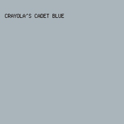 AAB4BB - Crayola's Cadet Blue color image preview