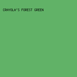 61B267 - Crayola's Forest Green color image preview