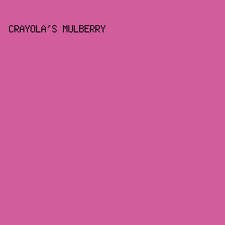D15D9D - Crayola's Mulberry color image preview
