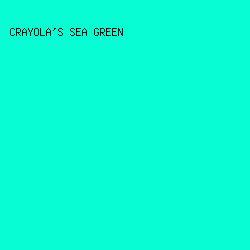 07FED5 - Crayola's Sea Green color image preview