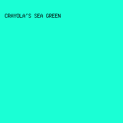 1AFFD5 - Crayola's Sea Green color image preview