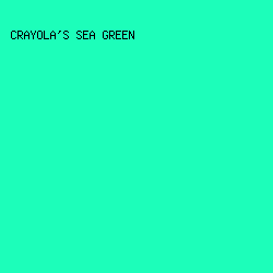 1CFEBA - Crayola's Sea Green color image preview