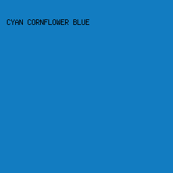 127cc1 - Cyan Cornflower Blue color image preview
