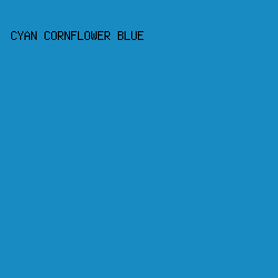 188cc2 - Cyan Cornflower Blue color image preview