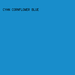 188dcb - Cyan Cornflower Blue color image preview