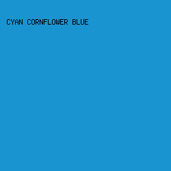 1a94d0 - Cyan Cornflower Blue color image preview