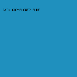 1f90be - Cyan Cornflower Blue color image preview