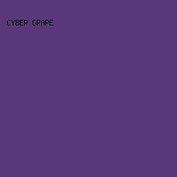 593779 - Cyber Grape color image preview