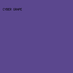 5B478E - Cyber Grape color image preview