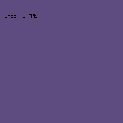 5E4C80 - Cyber Grape color image preview
