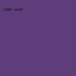 5F3C7A - Cyber Grape color image preview