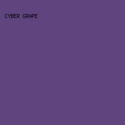5F447E - Cyber Grape color image preview