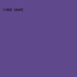 5F498C - Cyber Grape color image preview