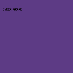 5d3b85 - Cyber Grape color image preview