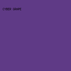 5f3a86 - Cyber Grape color image preview
