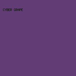623C74 - Cyber Grape color image preview