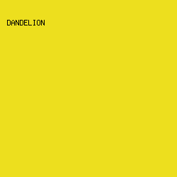 EDDF1E - Dandelion color image preview