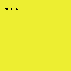 EDEE31 - Dandelion color image preview