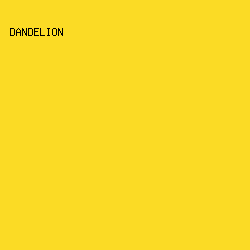 FBDB25 - Dandelion color image preview