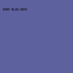 5D619D - Dark Blue-Gray color image preview