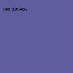 605D9C - Dark Blue-Gray color image preview