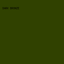 304100 - Dark Bronze color image preview