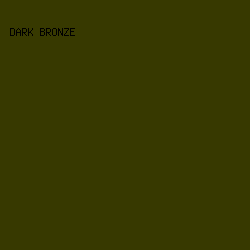 373900 - Dark Bronze color image preview