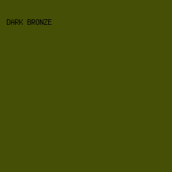 455006 - Dark Bronze color image preview