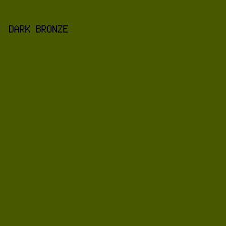 485800 - Dark Bronze color image preview