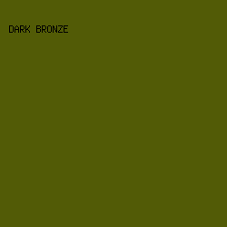 525b06 - Dark Bronze color image preview