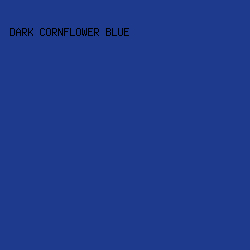 1d3a8d - Dark Cornflower Blue color image preview