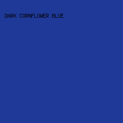 1f3999 - Dark Cornflower Blue color image preview