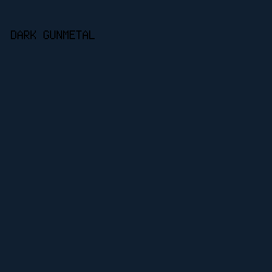 101f30 - Dark Gunmetal color image preview