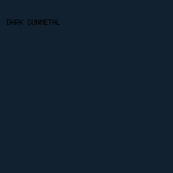 112130 - Dark Gunmetal color image preview