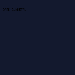 13192E - Dark Gunmetal color image preview
